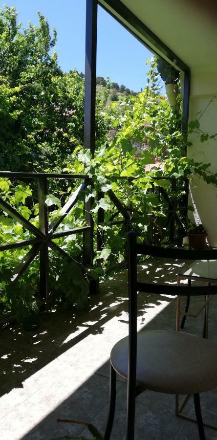 Omart Hotel - Gallery Τυφλίδα Εξωτερικό φωτογραφία
